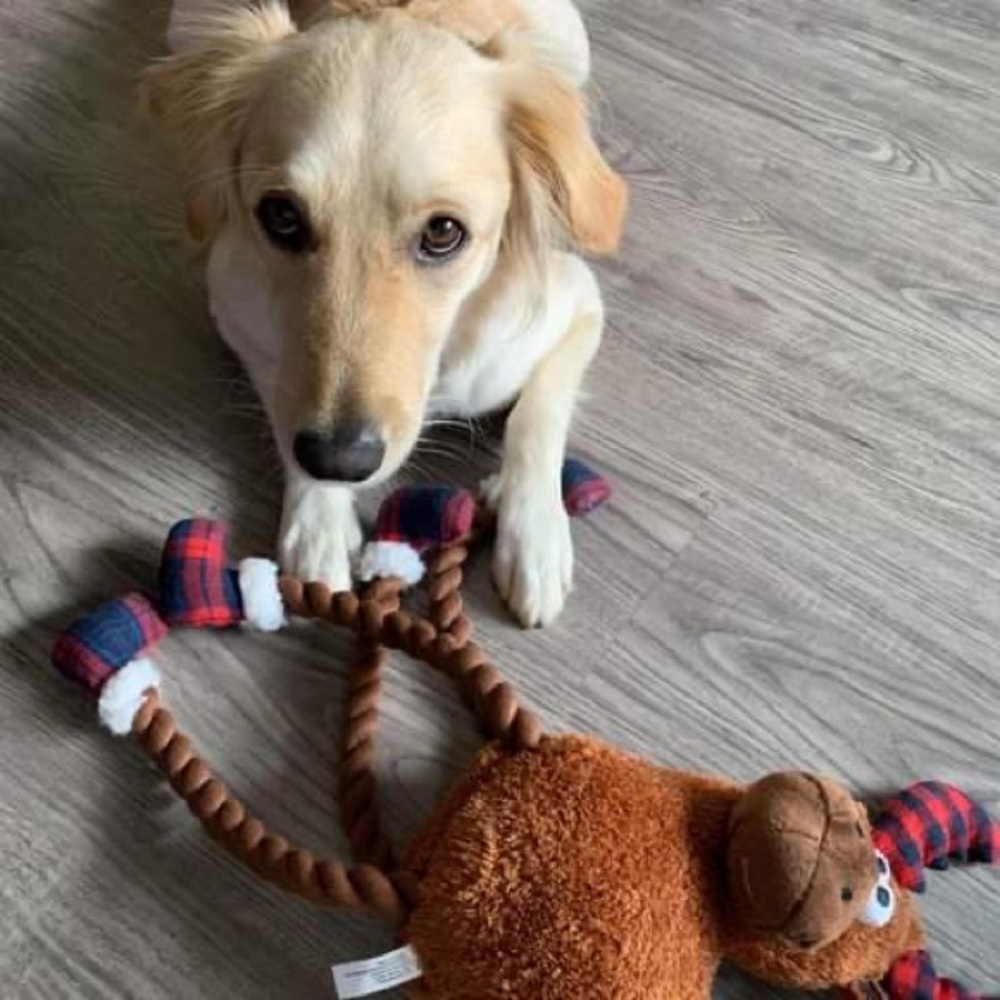 Meet your Posher, Charlene